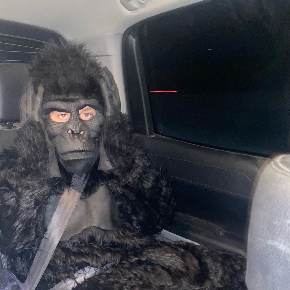Adult size Gorilla costume